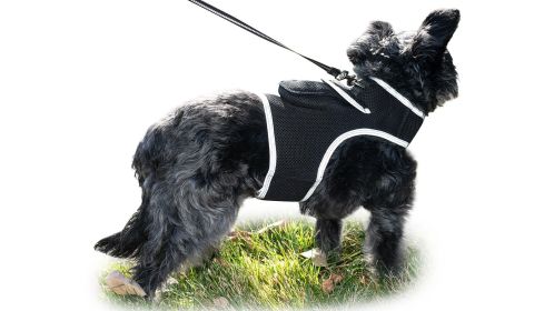 Pocket GPS Phone Pet Tracker GeoFence Capable Finder w/ Battery Alerts Size:S